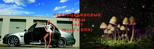 эйфоретик Алзамай