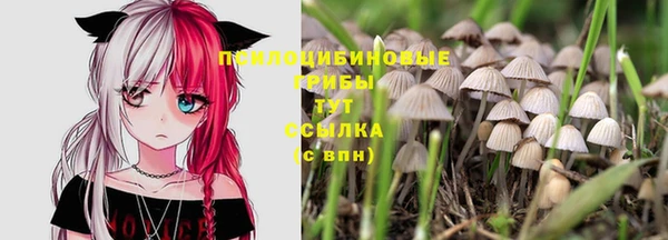 каннабис Алексин