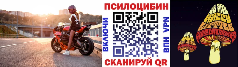 Псилоцибиновые грибы Psilocybine cubensis  Осинники 